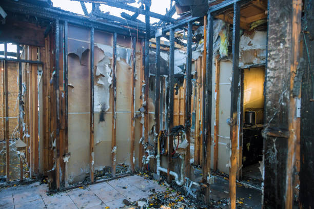 Professional Soot Cleanup technician working in Zarephath, NJ